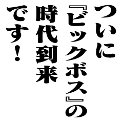 "BIG BOSS" New Era/name