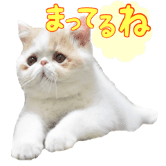 ぽてとスタンプ Line スタンプ Line Store