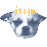 Rambo the Alien dog