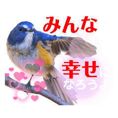 幸せを運ぶ青い鳥たち【正規版（第２版）】