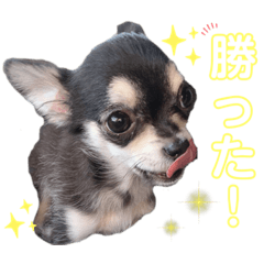 mizuki_20211216184623