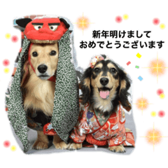 miki_20211216200223