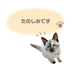 risa_20211216210208