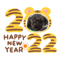 miko_20211216221055