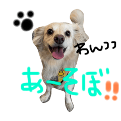 sakurako_20211217054543