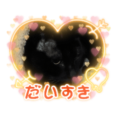 yanagi_20211216221642