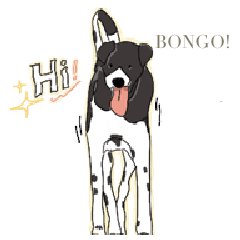 BONGO! Doggie Hoo yah bog bog(Ver. Thai)