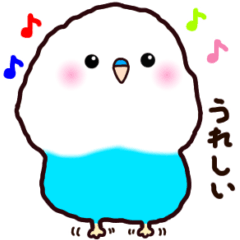 Cute Birds: for everyday use