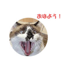 monaka_20211217145445