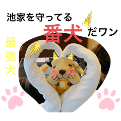 rina_20211210225410 – LINE stickers | LINE STORE