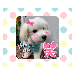miki_20211217163446