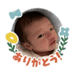 miffy_20211217164346