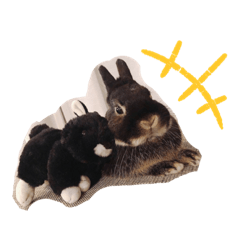 nanami_20211217195302