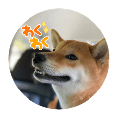 saori_20211217212124