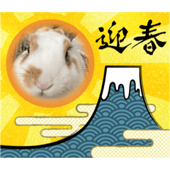 shiho_20211217211959