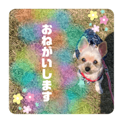 tomomi_20211217235209