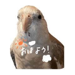 hana_20211217211338