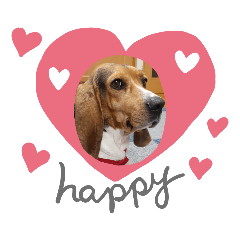 Beaglemimi_20211218101034