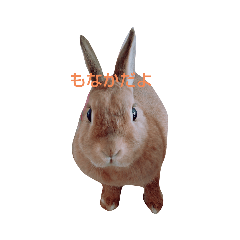 verychan_20211217223032