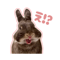 Rabbit Ohagi !