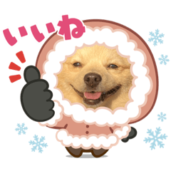 monmon_20211217223727