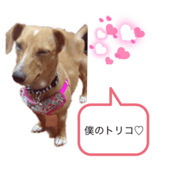 Takuya_20211218004908