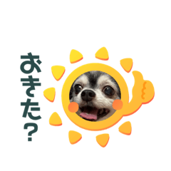 manmaru_20211218095521