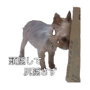 moko1130