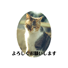 shibubu_20211218131559