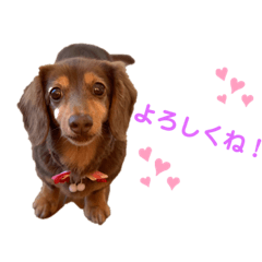 HANA_20211218140720