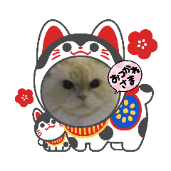 mikineko_20211218154839