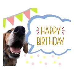 Matsu_20211218152440