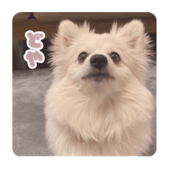 hana_20211218155101