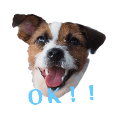 ayumi_20211218210016