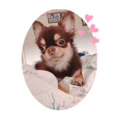 ayumi_20211218215216