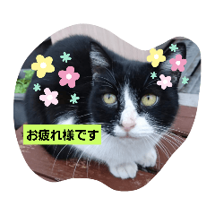 miki_20211218220207