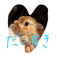 hana_20211219031051