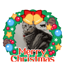 akiko_20211218204225