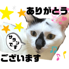 natsumi_20211219095728