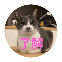 hana_20211218210911