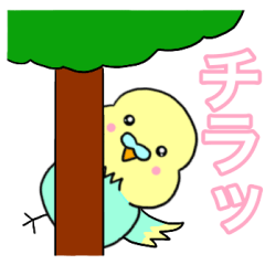 Available birds1