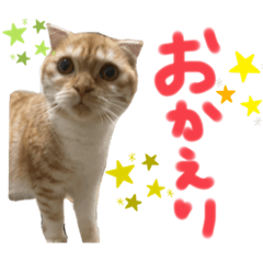 Kinaco_20211218233732