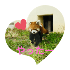 natsumi_20211218232537