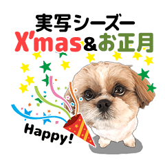 シーズー犬ぽんずとかぼす Xmas お正月 Line スタンプ Line Store