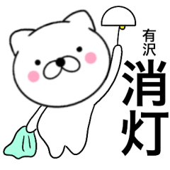 Name cat Arisawa2