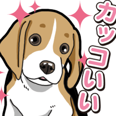 Wanko-Biyori Beagle Puppy 3