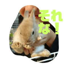 hana_20211219063814