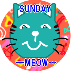 Sunday cat-meow