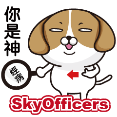 SkyOfficers