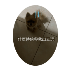 Jason私人貼圖